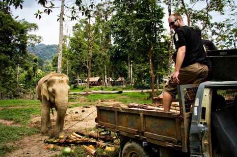 Mike feeding Mek Bunga at the Kuala Gandah Elephant Sanctuary