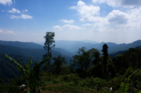 Malaysian Borneo