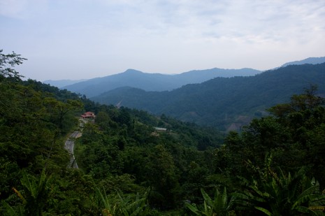 Borneo Landscape