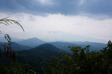 Misty Borneo Vista