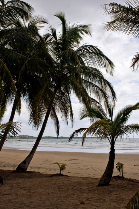 Playa Grande, Costa Rica