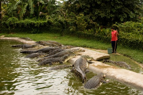 Crocodile Adventure Land -  Langkawi, Malaysia