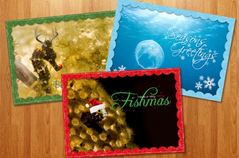 Scuba Themed Chritmas Cards