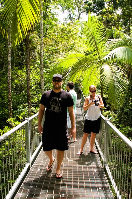 Daintree Rainforest, Australia